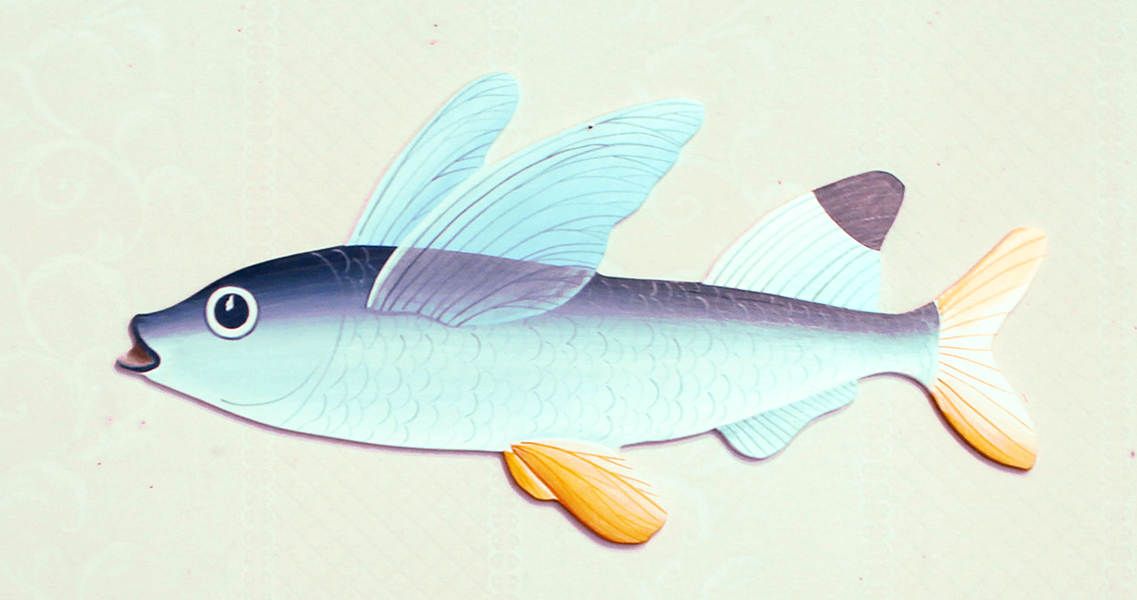 fliegender_fisch.png